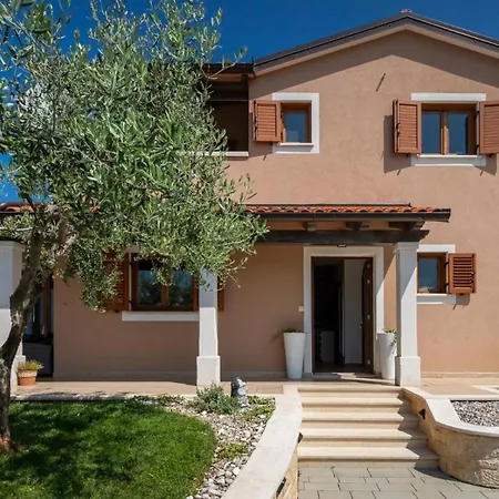 Activity Gita With Pool And Grill In Villa *